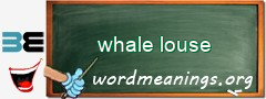 WordMeaning blackboard for whale louse